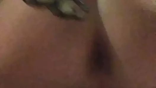 rodeo