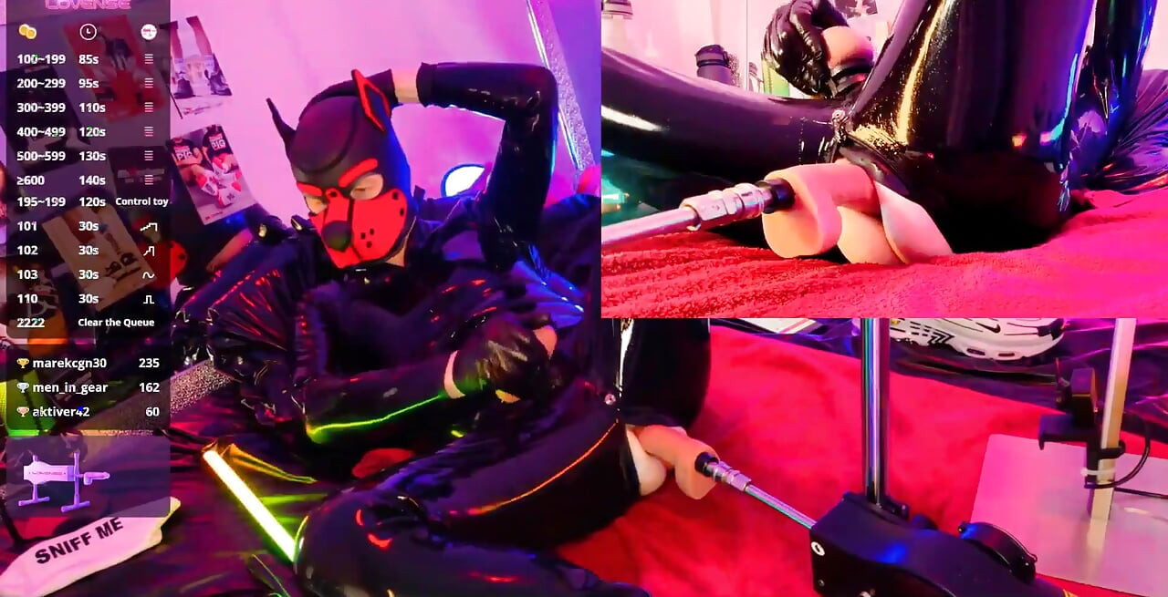 Nicolaus Rubber Show with Pet Mask