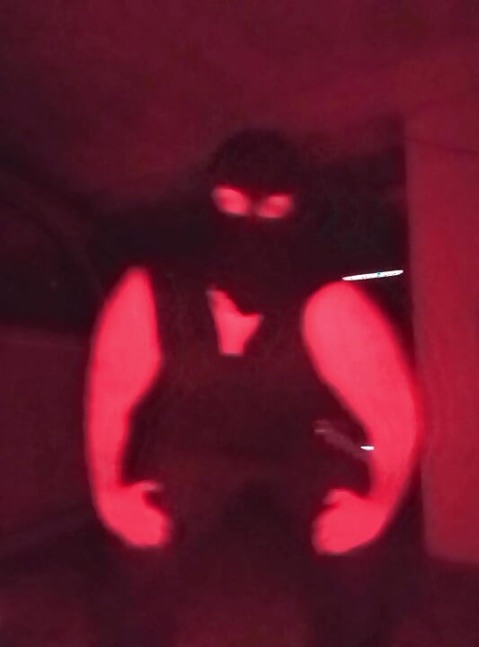 Italian Red Room Session - Masked Domination, BDSM & Kink Elite by lhore11
