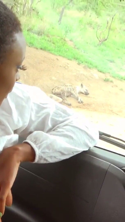 My EBONY GIRLFRIEND bared her natural tits on safari... so I fucked her SENSELESS on the drive | Clip 1