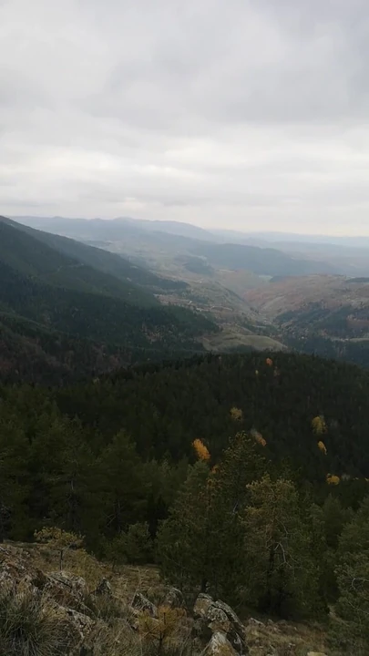 EASY JERKING ON TOP OF ZLATIBOR TORNIK
