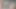 Götten ağza Pis Şaplak Atmayı Seven Osuruk Domuz Olarak Aldatılan Adama Hükmediyor