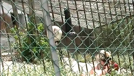 Inglese Slutty Hairy MILF Looking for Big Cocks to Get Fucked in the Park