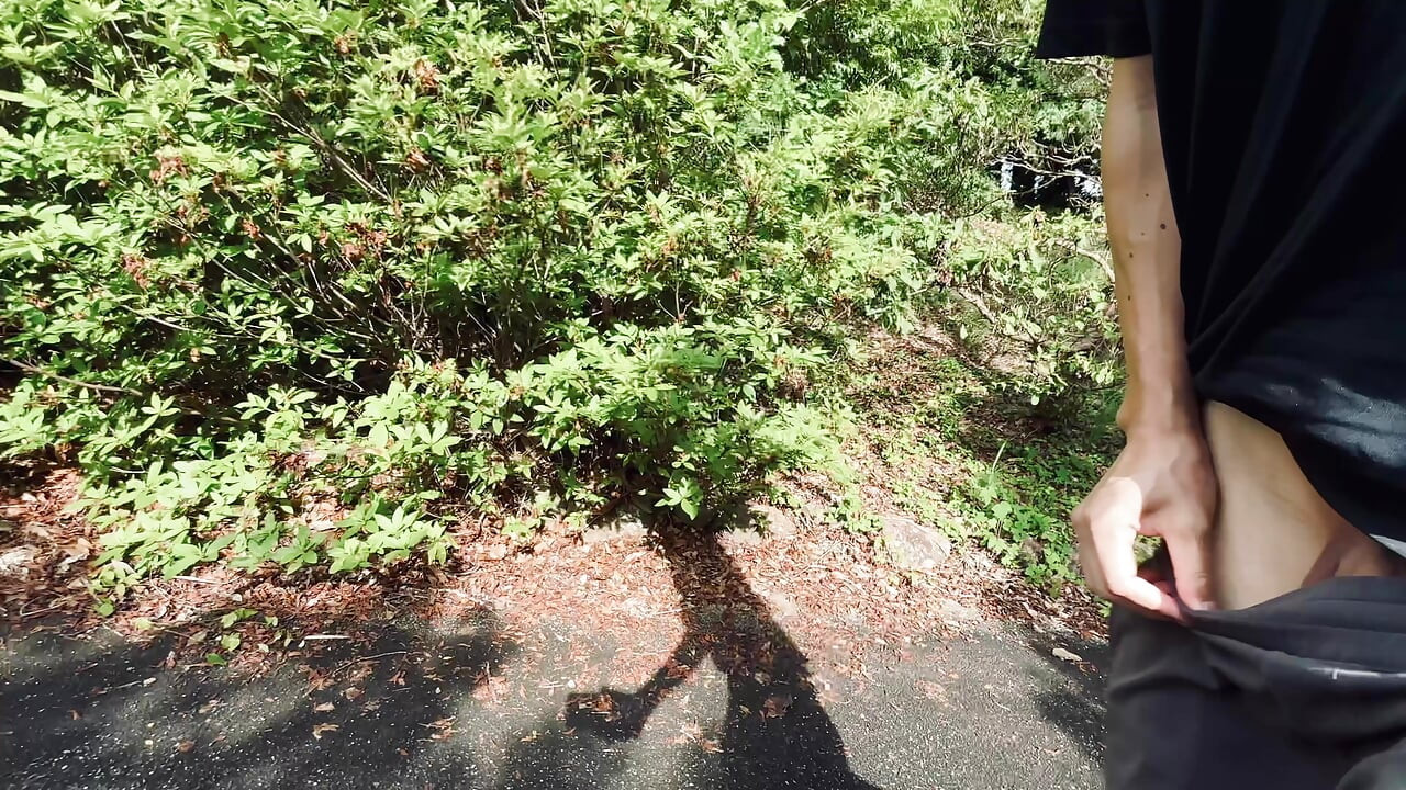 Asian twink riskily flashes his foreskin penis in a public park