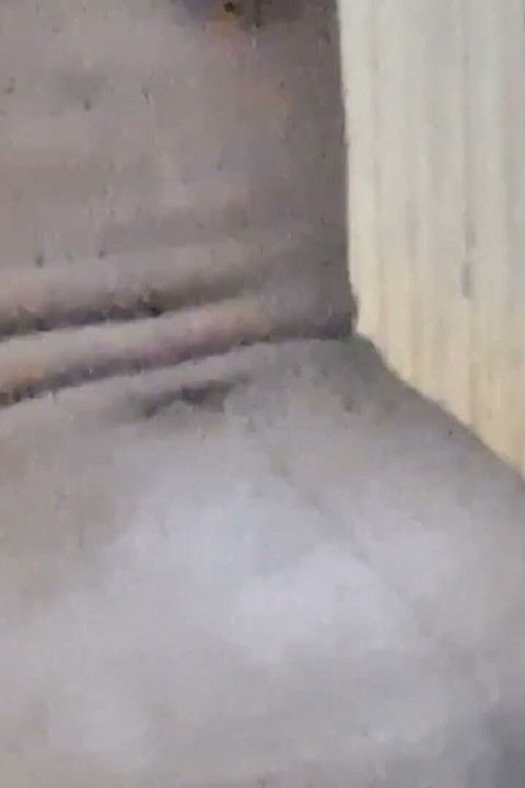 Fuck Me Doggy Style in My Asshole -2