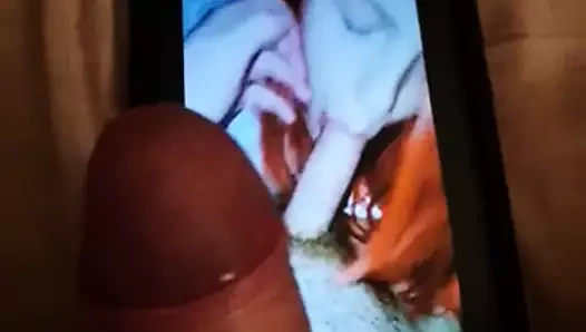 video horoz haraç