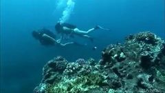 Unterwasser-Fick