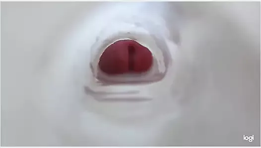 Clear internal Fleshlight quickie with sound