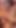 Paylaşması gereken an "Seksi gür kedi oyunu. benim yapay penis süper sıkı ve minik kedime takılıp kalıyor"