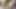 young boy long hard brown dick teasing head and ejaculate fastly