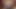 333