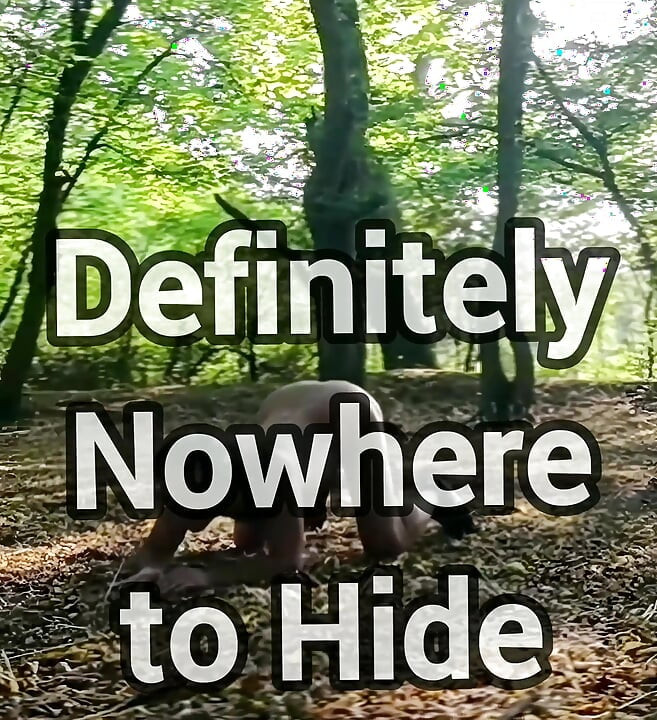 Дупа в громадському лісі