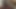 Gimp が使われる準備をしている