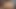 An Iraqi Prostitute Fucks Her Pussy and Says: Fuck Me a Lot