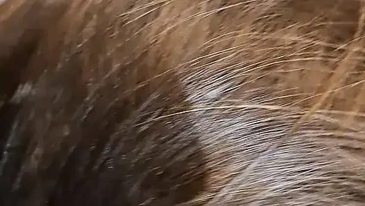 Husband with big cock and wife with tight pussy, in the bathroom have a few moments for each other