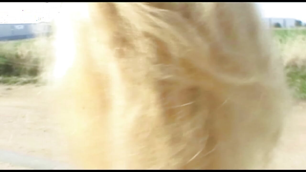 운 좋은 친구를 기쁘게 하는 프랑스에서 자지 빠는 여자