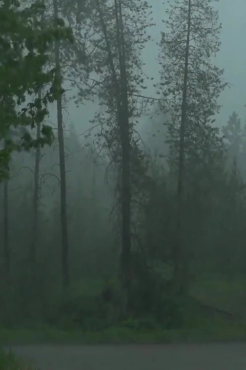 真正的大圆屁股继母天生就骑乘鸡巴