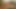 Erst Massage und dann ein toller Blowjob