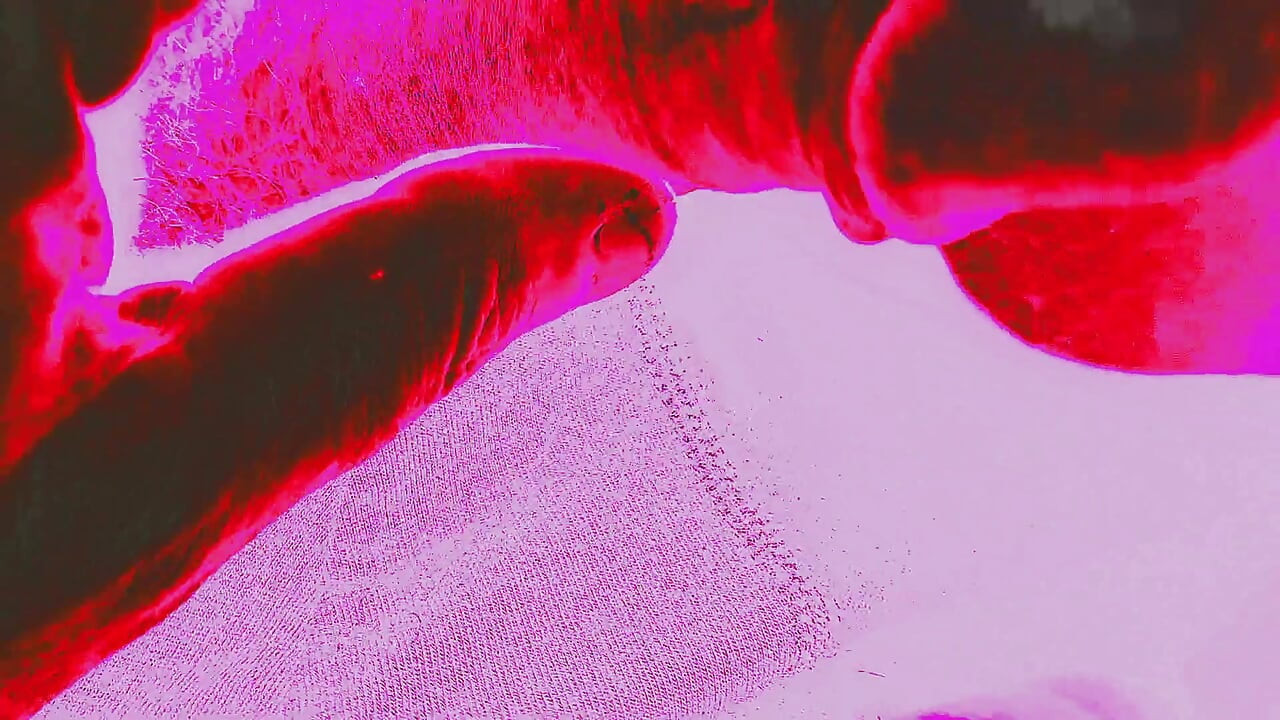 Masturbation du pénis