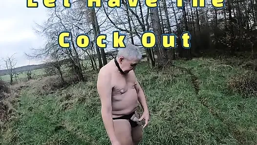 Cold Fresh Morning 2026