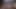 Misty Rein yüzünde bir yarağı seviyor