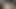 視点 ビッチ セクシーなチンコをしゃぶる