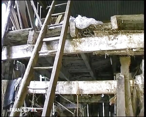 В Ch' Nord мы обожаем трахаться!