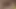 Ateşli seksi kızlar viral videoda rol yapıyor