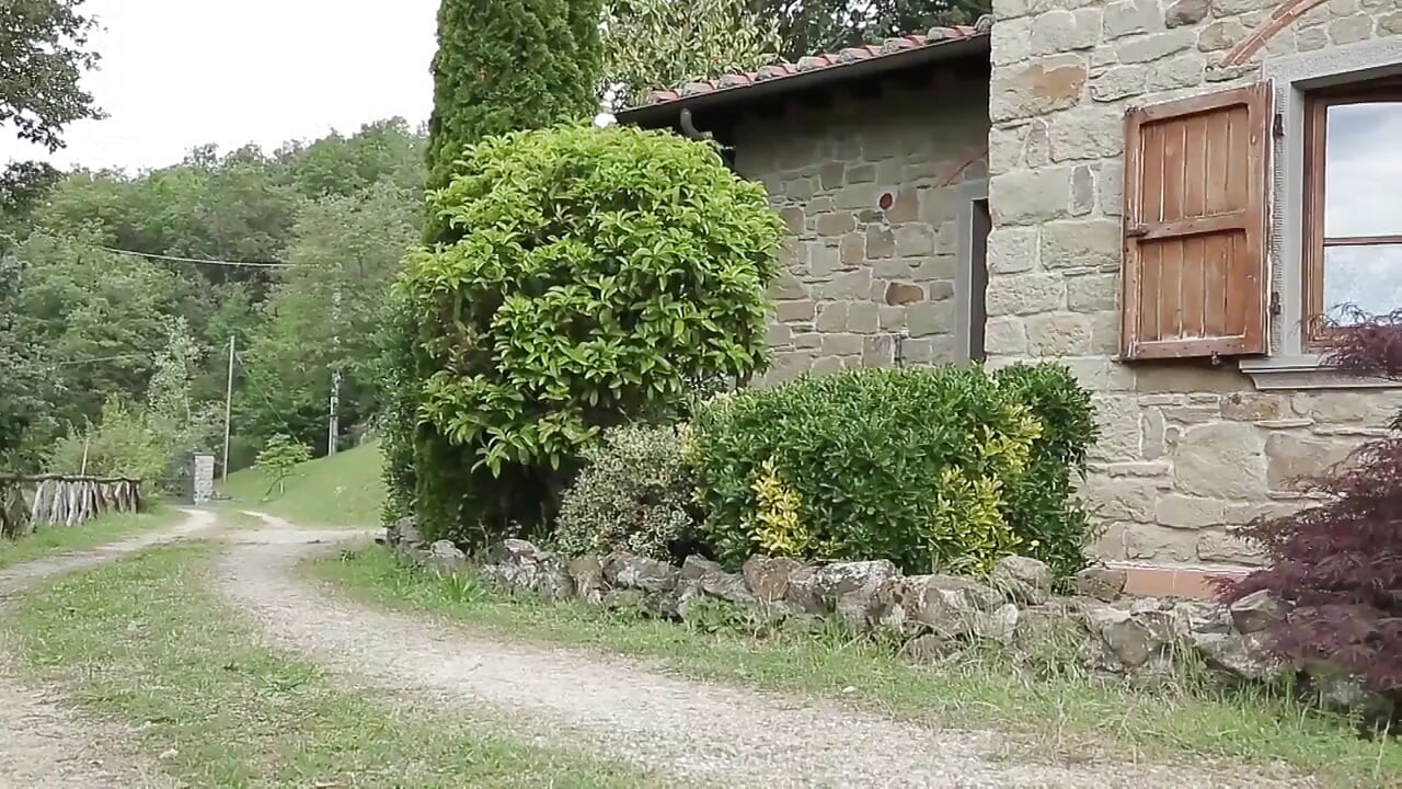 I wanted your big cock