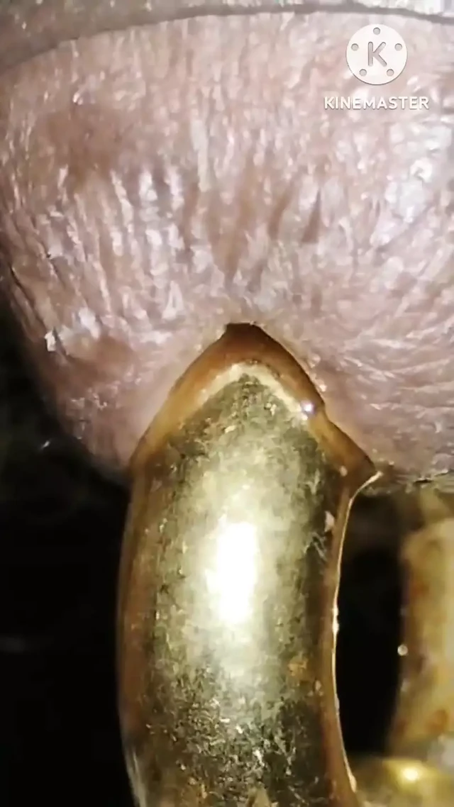 How to pissing with BIG PA rings. 0gauge with pissing.