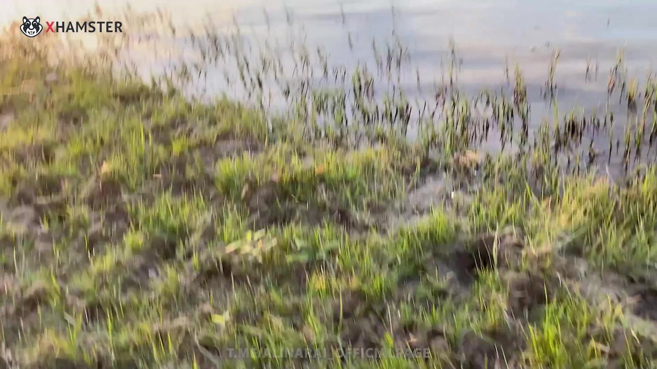 - 学习如何钓鱼。继母教继子钓鱼等等