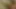 Hot bhabhi sex video with sasur