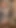 Britney Rose kızımız Amber ile çok tanışıyor ve tutkulu yalama ve oyuncak oyunu yapıyor