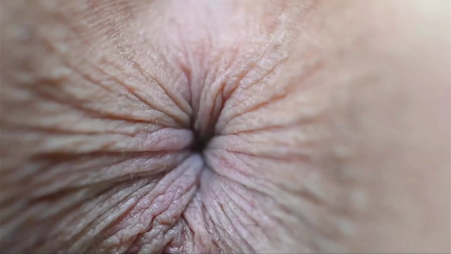 Všechny dívky si navzájem kouří zadky současně v řetězu, jedna po druhé. ggmansion