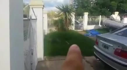 straight in the ass