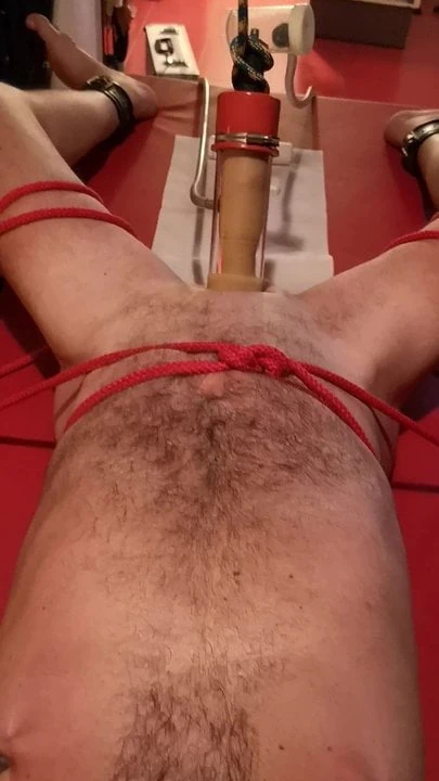 Slaves milking with the milking machine
