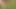 Jerking Outdoor with cumshot in the forest 03