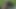 XXLエルウィッシュト