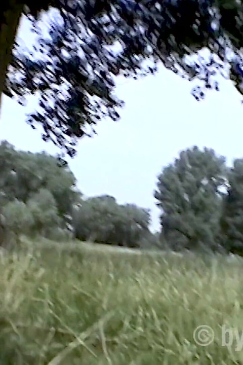 Vis mig din behårede kusse