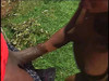 Pregled videozapisa