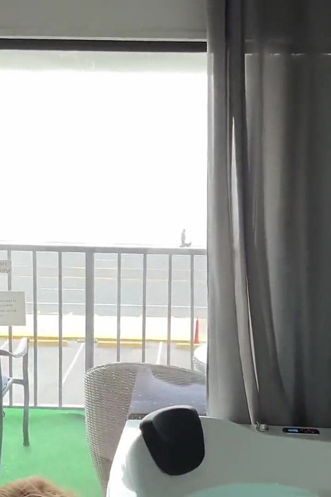 Bitch Your Husband Didnt Know I Suck Dick so Good Fijii Pornbox