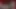Çok güzel bir kız öğrenci rahiminde sert canavar dildoya yumruk atıyor götü bile atlıyor
