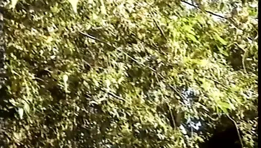 Three ebony sluts suck and fuck three white dudes in the garden