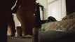 Anteprima video