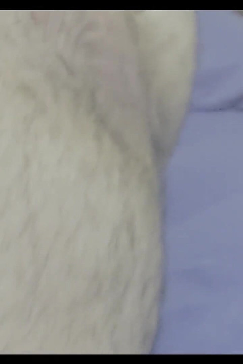 我独自一人