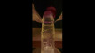 Pratinjau video