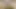 New Nepali Sex Video with Nepali Clear Audio,Limbuni Suddilai Chikeko
