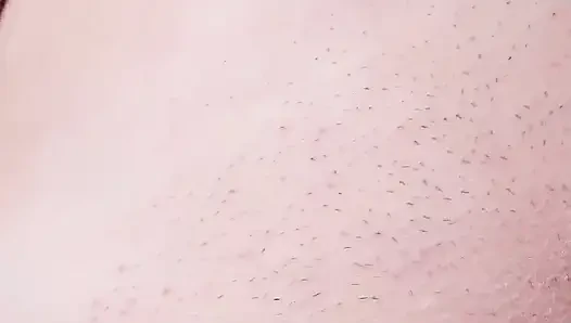 Pee Clip