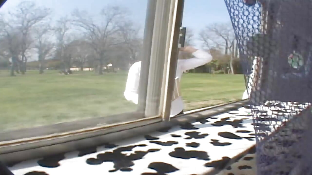 La belle fente rose mouillée d’une nana s’attend grande ouverte pour le visser par un poteau géant