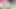 Pakistani Wife Fucking Her Husband In Amazon Position With Urdu Audio